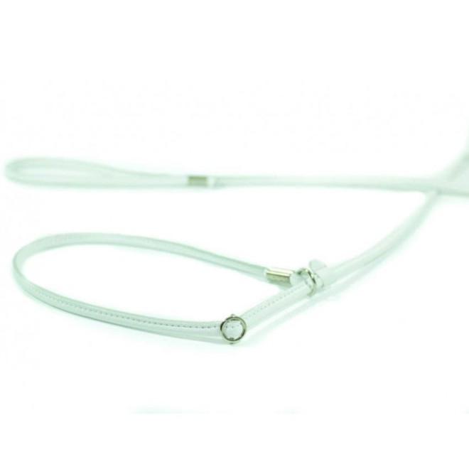 Showleine für kleine bis mittelgroße Hunde in 5 Farben