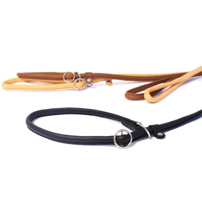 Showleine für mittelgroße und große Hunde in 5 Farben