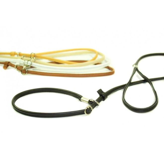 Showleine für kleine bis mittelgroße Hunde in 5 Farben