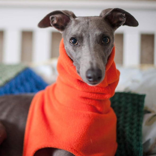 Fleece-Snood Windhund-Schal orange Grafschaft Kent
