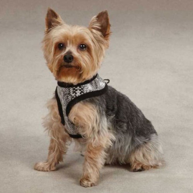 Softbrustgeschirr für Hunde Snake in Schlangenoptik