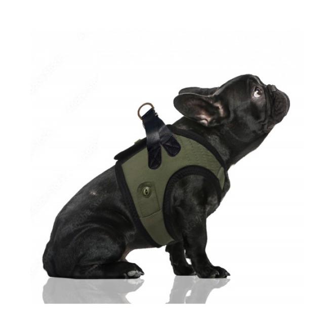 Milk & Pepper Soft-Hundegeschirr Harisson Kaki