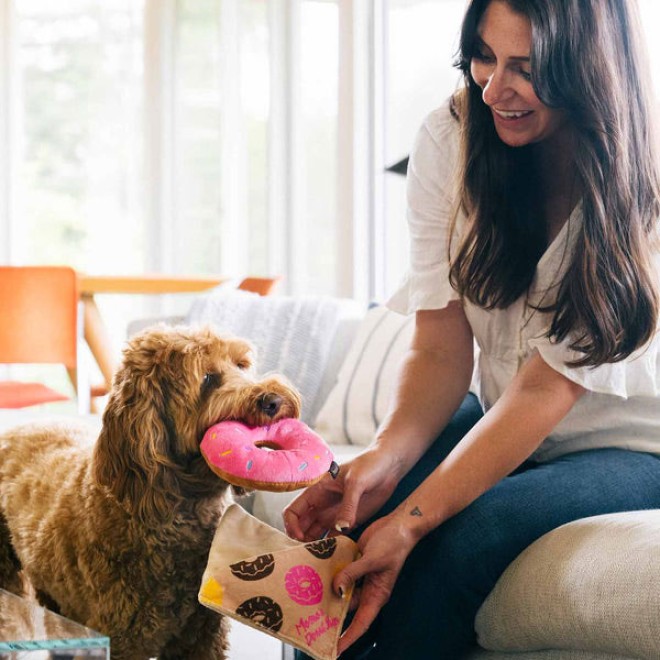 Stabiles Hundespielzeug DONUT in Knisterverpackung