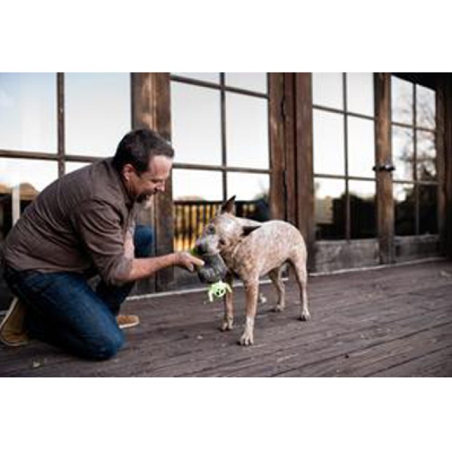 Halloween-Hundespielzeug Grabstein