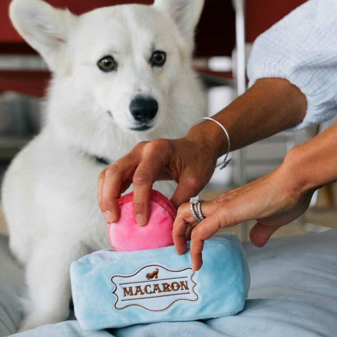 Interaktives Hundespielzeug MACARON