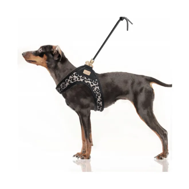 Step-In Hundegeschirr THALIA im Leo-Design