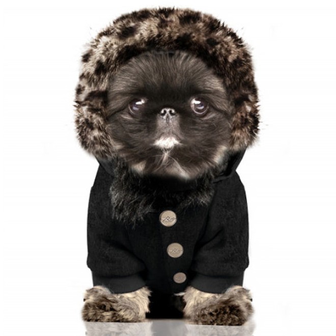 Milk & Pepper Hunde-Sweatshirtjacke KAFUE True Love