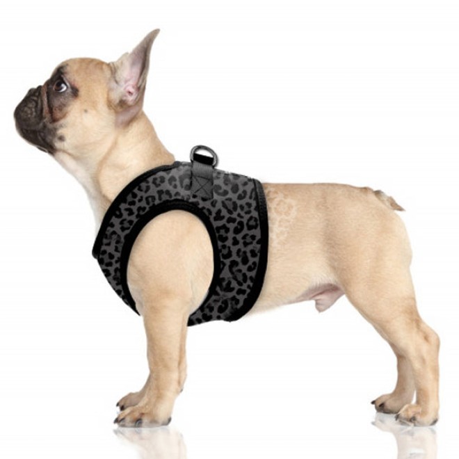 Milk & Pepper Hundegeschirr Tanzania Leo-Design Leopard grau