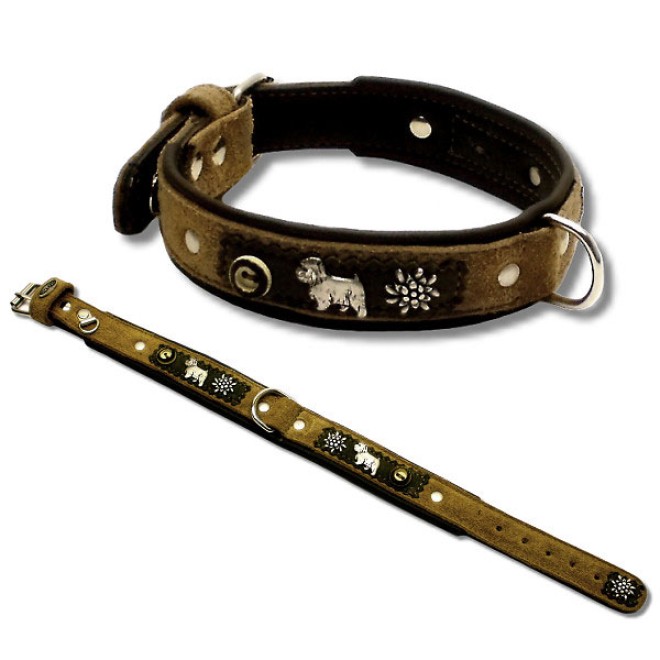 Westie-Hundehalsband Starnberg