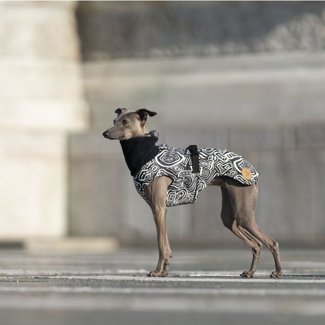 Gefütterter Whippetmantel Graphic