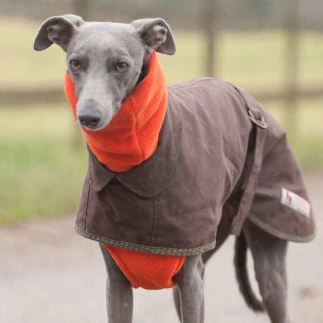 Fleece-Snood Windhund-Schal orange Grafschaft Kent