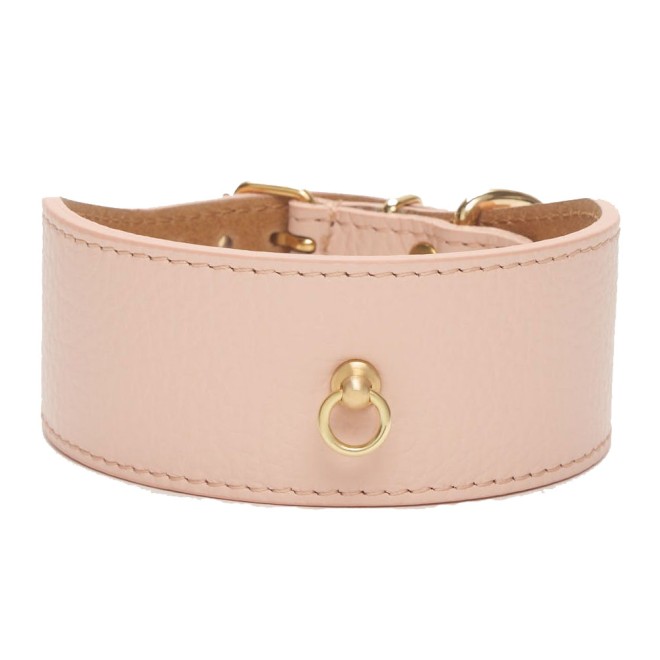 Windhundhalsband Roma Leder apricot