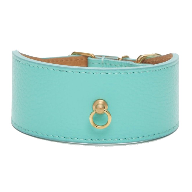 Windhundhalsband Roma Leder türkis