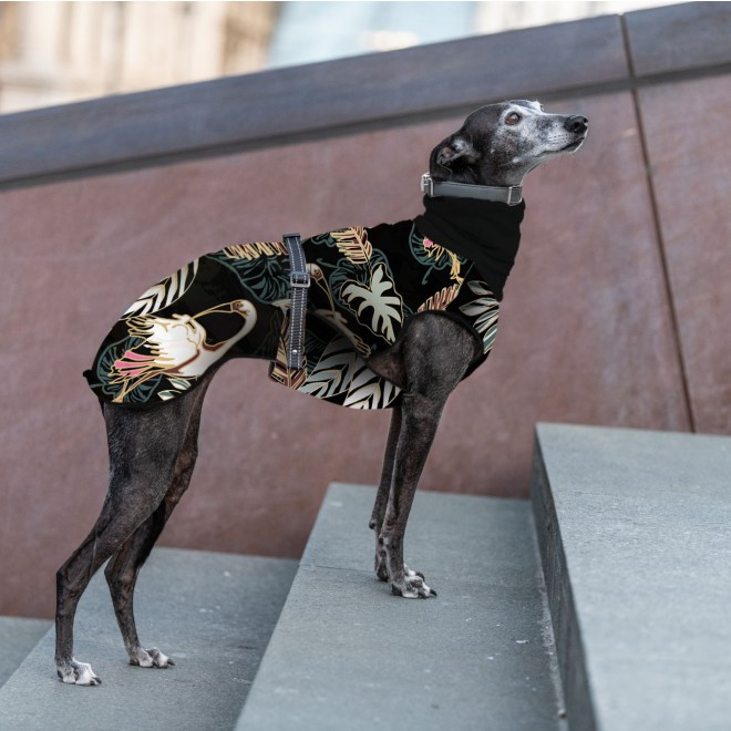 Warmer Whippet- und Windhundmantel Palm Leaf