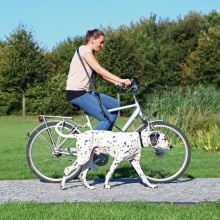 Hunde-Fahrrad- und Joggingleine