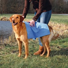 Super-saugstarkes Handtuch für Hunde