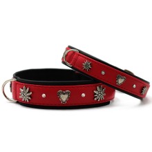 Alpen-Hundehalsband Spatzerl rot