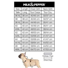 Milk & Pepper wasserabweisender Hundemantel Gazoline auch für Mops & Bully