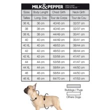 Milk & Pepper wasserabweisender Hundemantel Harlington auch für Mops & Bully
