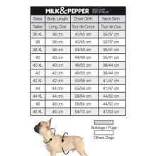Milk & Pepper Hundeparka Fjord Black auf für Mops & Bully