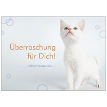 Katzenfutter-Überraschungsbox SCHLECKERMÄULCHEN