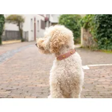 Leder-Hundehalsband HERZILEIN Altrosa