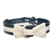 Hundehalsband Sir 42 cm Länge