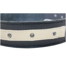 Hundehalsband Sir 42 cm Länge