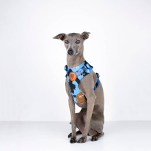 Atmungsaktives Hundegeschirr California Blue