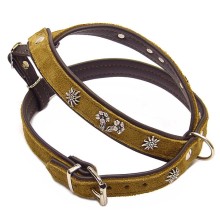 Hundegeschirr Starnberg 40 bis 70 cm Bauchgurt