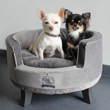 Luxus-Hundesofa Cute Pets grau für Chihuahua & Co.