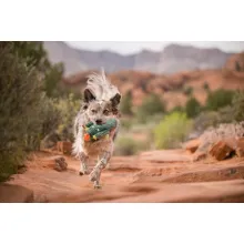 Extra robustes Hundespielzeug BLOOMING-COLLECTION