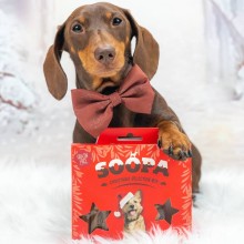 Weihnachts-Selektionsbox mit Preiselbeere und Süßkartoffel — Hundeleckerli