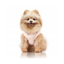 Rosa Hunde-T-Shirt AZUMI BE HAPPY