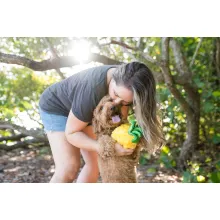 Interaktives Hundespielzeug ANANAS Tropical Paradise