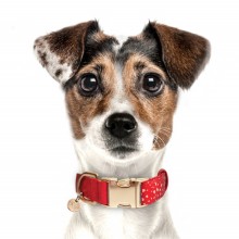 Milk & Pepper Hundehalsband APHRODITE aus Stoff mit Herzchen