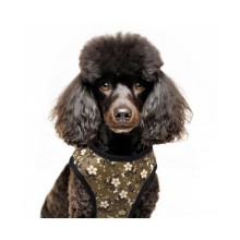 Westengeschirr für Hunde BETHANY Khaki mit Blumenmuster