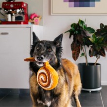 Robustes Hundespielzeug ZIMTSCHNECKE Cinnabone
