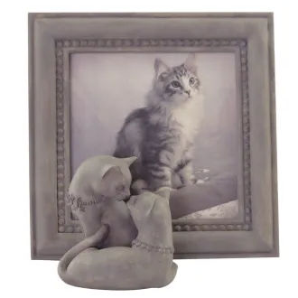 Schöner Bilderrahmen mit Katzenmotiven