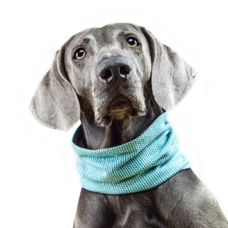 Hundeschal Hunde Doggyloop SCHIKOBELLO Petrol Gr. XS