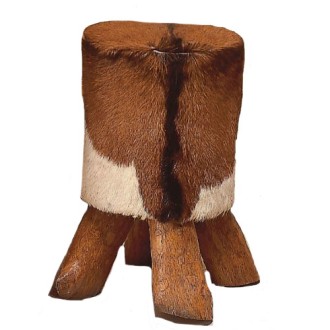 Fellschemel Gstaad - ANGEBOT