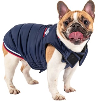 Gefütterter Hundemantel im College-Look Gr. 36