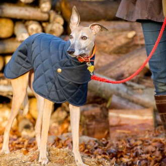 Gesteppter Whippet-Hundemantel navy