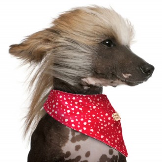 Milk & Pepper Hundehalstuch SUZIE mit Herzchen