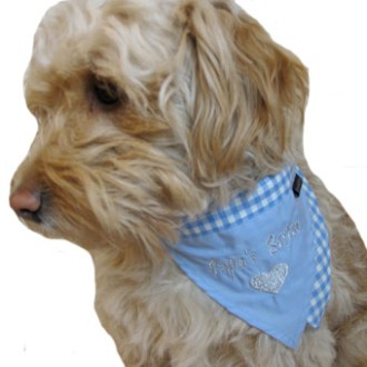 Hundehalstuch Papas Bester Gr. XS - XXL