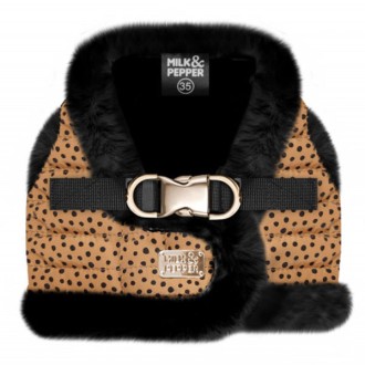 Milk & Pepper Hundegeschirr Katoun Camel