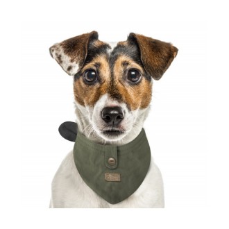 Milk & Pepper Hundehalstuch JEFFERSON Kaki