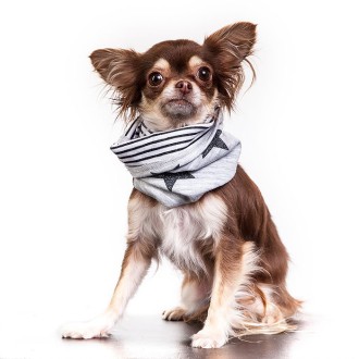 Hundeschal Doggyloop CANICASUAL Grösse XXS