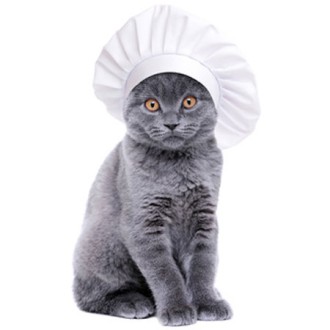 Katzenfutter-Überraschungsbox SCHLECKERMÄULCHEN