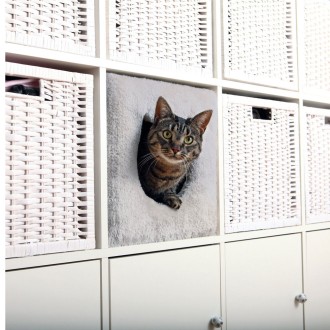 Katzenschrank Fur Katzentoilette Schrank Fur Katzenklo